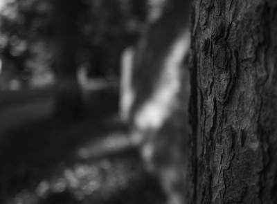 2022 10 08 bad hersfeld  43 von 