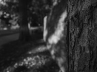 2022 10 08 bad hersfeld  44 von 