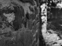 2022 10 08 bad hersfeld  45 von 