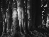 2022 10 08 bad hersfeld  50 von 