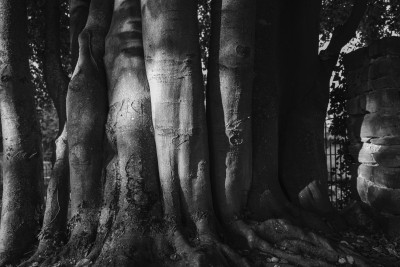 2022 10 08 bad hersfeld  50 von 