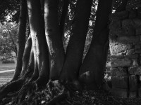 2022 10 08 bad hersfeld  51 von 