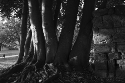 2022 10 08 bad hersfeld  51 von 