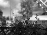 2022 10 08 bad hersfeld  7 von 