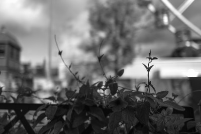 2022 10 08 bad hersfeld  7 von 