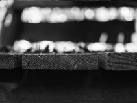 2022 10 10 im wald sw