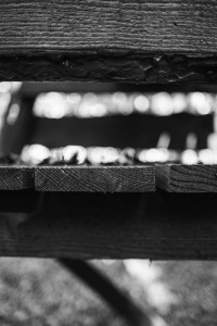 2022 10 10 im wald sw