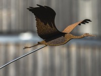 2022 10 11 kranorama