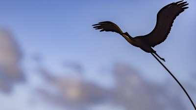 2022 10 11 kranorama