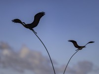 2022 10 11 kranorama