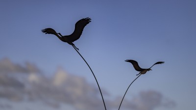 2022 10 11 kranorama