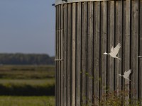 2022 10 11 kranorama