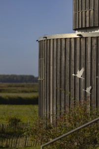 2022 10 11 kranorama