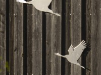 2022 10 11 kranorama