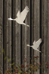 2022 10 11 kranorama