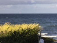 202201 zingst am strand