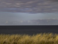 2022 11 zingst am strand