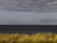 2022 10 zingst am strand