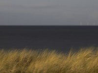 2022 10 11 zingst am strand