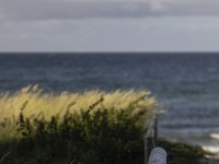 2022 10 11 zingst am strand