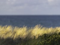 2022 10 11 zingst am strand