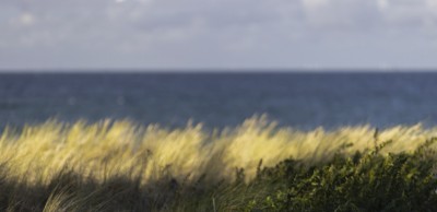 2022 10 11 zingst am strand