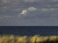 2022 10 11 zingst am strand