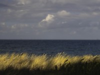 2022 10 11 zingst am strand