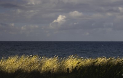 2022 10 11 zingst am strand