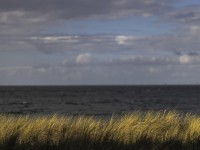 2022 10 11 zingst am strand