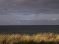 2022 10 11 zingst am strand