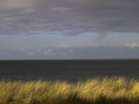 2022 10 11 zingst am strand