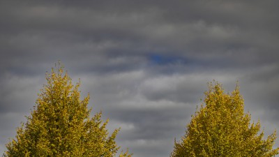 2022 10 12 stralsund