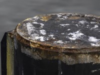 2022 10 12 stralsund