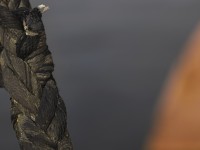 2022 10 12 stralsund