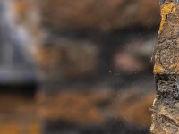 2022 10 12 stralsund