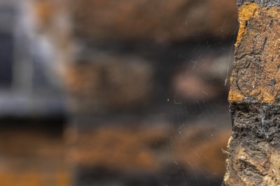 2022 10 12 stralsund