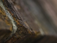 2022 10 12 stralsund