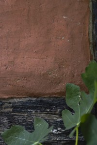 2022 10 12 stralsund