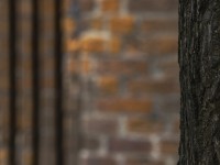 2022 10 12 stralsund