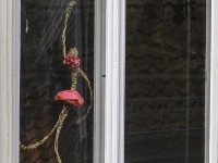 2022 10 12 stralsund