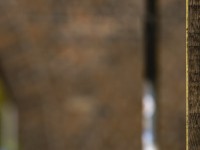 2022 10 12 stralsund