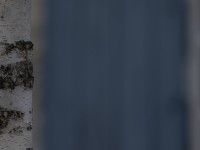 2022 10 12 stralsund