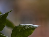 2022 10 12 stralsund