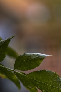 2022 10 12 stralsund