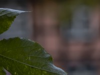 2022 10 12 stralsund