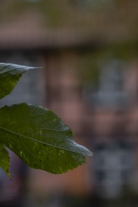 2022 10 12 stralsund