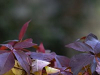 2022 10 12 stralsund