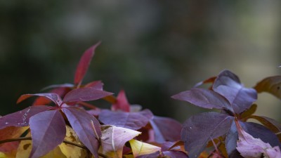 2022 10 12 stralsund