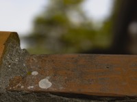 202203 darsser ort rundgang